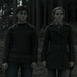 EmmaWatsonFan_dot_nl-HarryPotterAndTheDeathlyHallowsPart1-4598.jpg