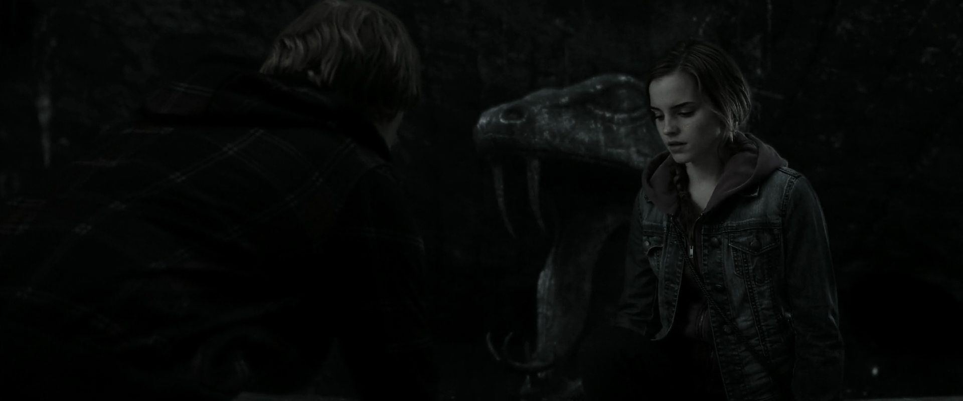 EmmaWatsonFan_dot_nl-HarryPotterAndTheDeathlyHallowsPart2-2993.jpg
