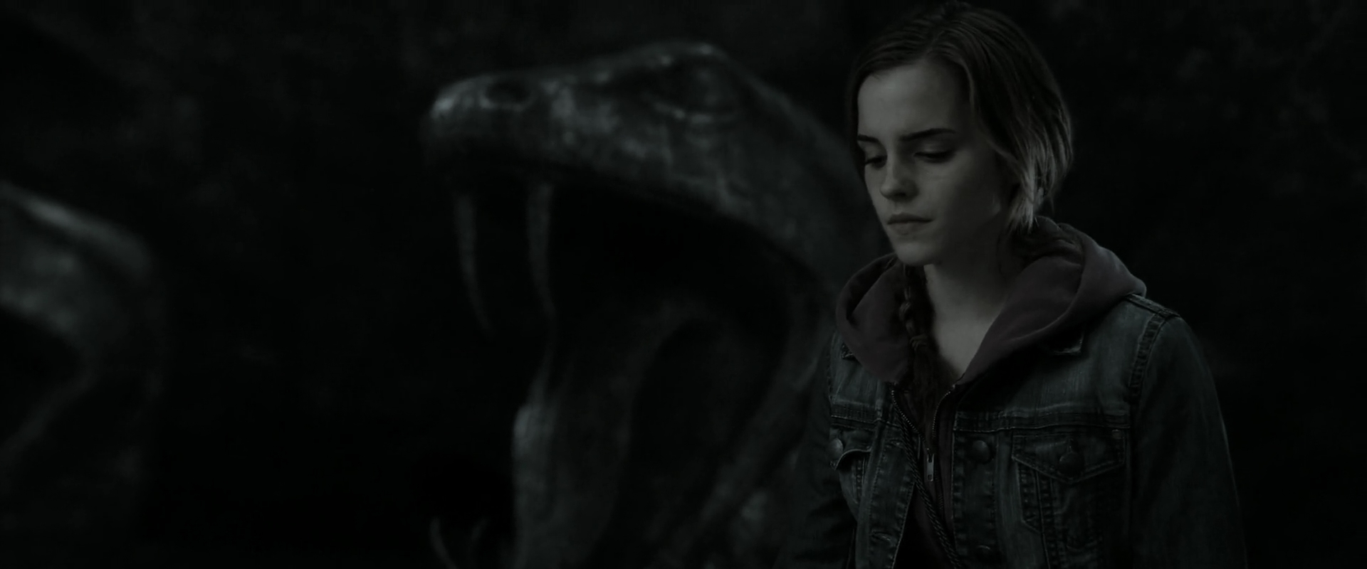 EmmaWatsonFan_dot_nl-HarryPotterAndTheDeathlyHallowsPart2-3005.jpg