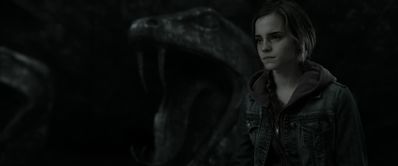 EmmaWatsonFan_dot_nl-HarryPotterAndTheDeathlyHallowsPart2-3004.jpg