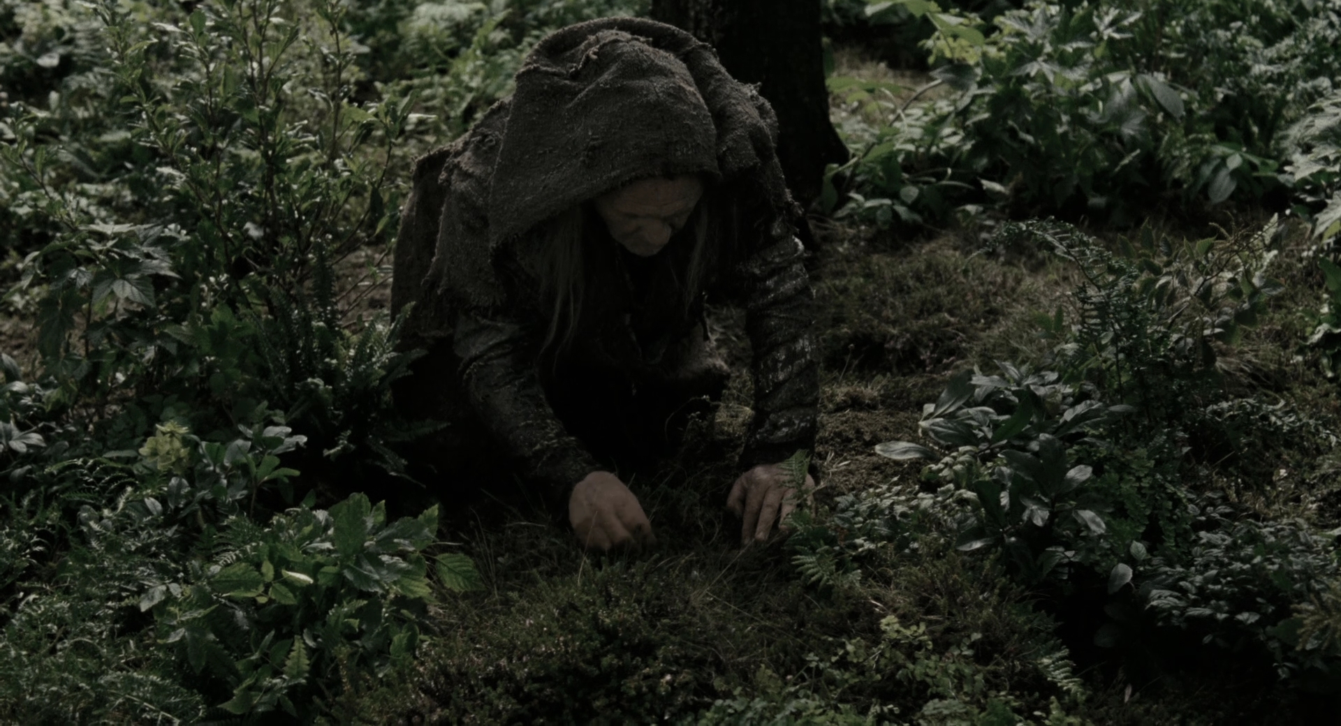 EmmaWatsonFan-dot-nl_Noah1784.jpg