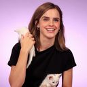 Emma_Watson_Plays_With_Kittens_28While_Answering_Fan_Questions29.mp4