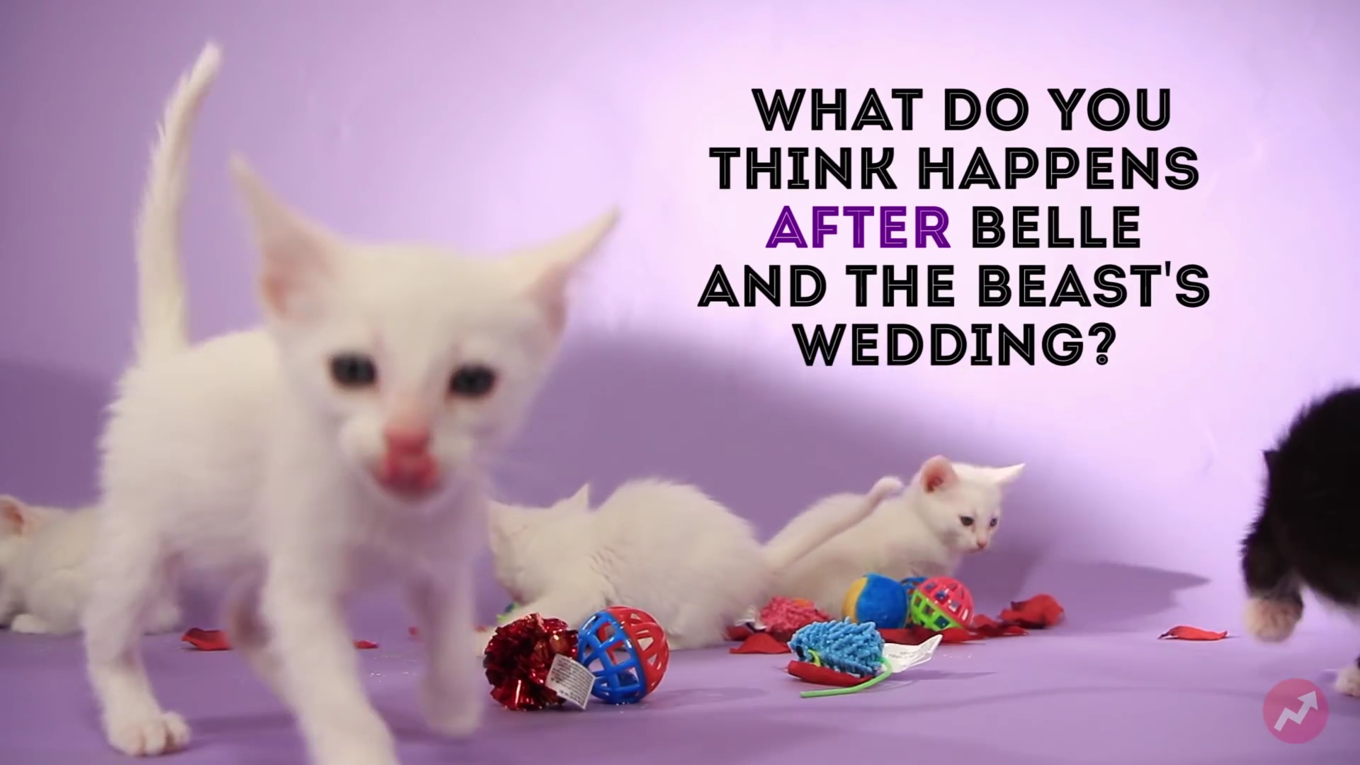 EmmaWatsonFan-nl_2017Buzzfeed0130.jpg EmmaWatsonFan-nl_2017Buzzfeed0130.jpg