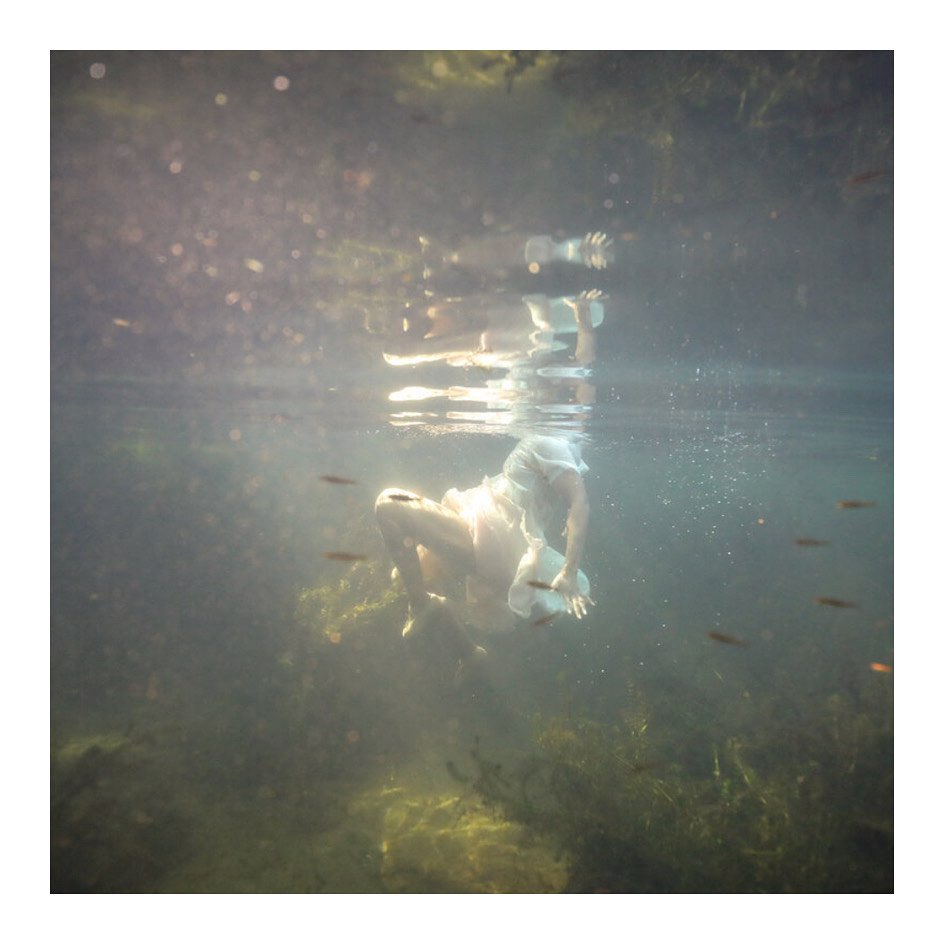 19 oktober: •Floridawater I, 2019•
"Allison Janae Hamilton (b.1984) is a visual artist working in sculpture, installation, photography, and video. She was born in Kentucky, raised in Florida, and her maternal family's farm and homestead lies in the rural flatlands of western Tennessee. Hamilton's relationship with these locations forms the cornerstone of her artwork, particularly her interest in landscape. Using plant matter, layered imagery, complex sounds, and animal remains, Hamilton creates immersive spaces that consider the ways that the American landscape contributes to our ideas of "Americana" and social relationships to space in the face of a changing climate, particularly within the rural American south.

In Hamilton's treatment of land, the natural environment is the central protagonist, not a backdrop, in the unfolding of historic and contemporary narratives. Through blending land-centered folklore and personal family narratives, she engages haunting yet epic mythologies that address the social and political concerns of today's changing southern terrain, including land loss, environmental justice, climate change, and sustainability. Each work contains narratives that are pieced together from folktales, hunting and farming rituals, African-American nature writing, and Baptist hymns. Drawing from all of these references, she envisions what an epic myth looks and feels like in rural terrain. In this vein, Hamilton's art practice centers on imagination in order to meditate on disruption and magic within the seemingly mundane rituals of natural and human-made environments."
@allisonjanaehamilton
