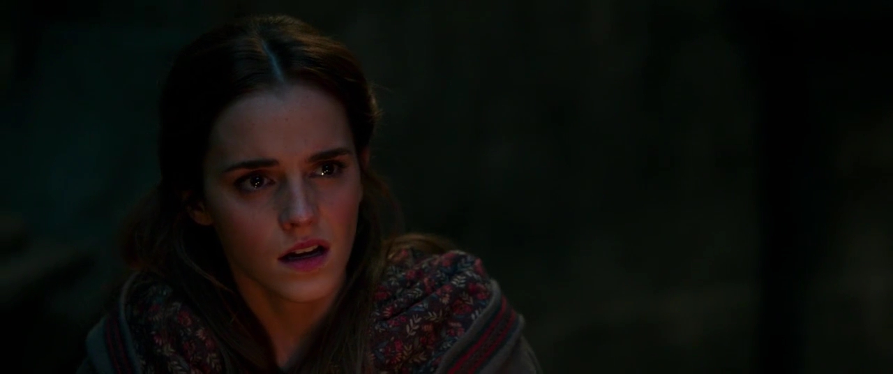 EmmaWatsonFan-dot-NL_BeautyAndtheBeast1485.jpg