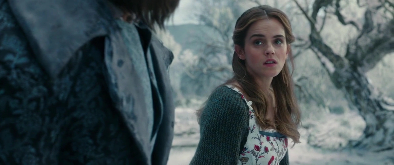 EmmaWatsonFan-dot-NL_BeautyAndtheBeast3866.jpg