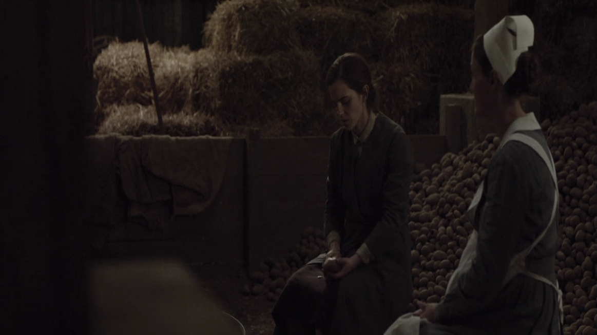 EmmaWatsonFan-dot-NL-ColoniaDignidad4727.jpg