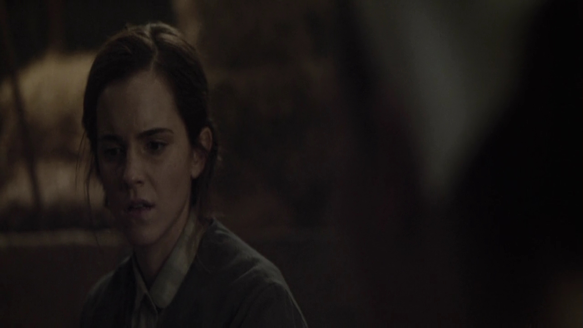 EmmaWatsonFan-dot-NL-ColoniaDignidad4771.jpg
