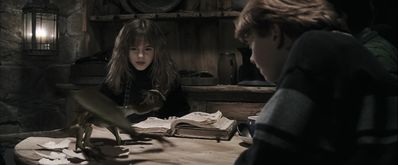 EmmaWatsonFan-dot-nl_HarryPotterandthePhilosophersStone4041.jpg