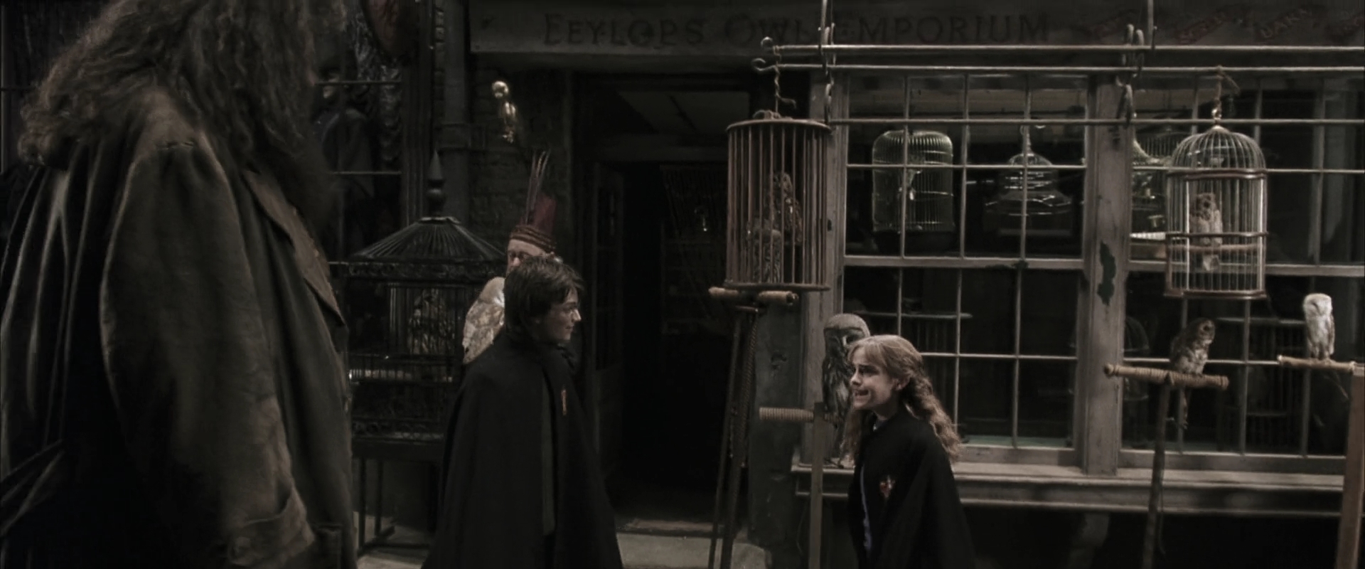 EmmaWatsonFan-dot-nl_HarryPotterandtheChamberOfSecrets0018.jpg