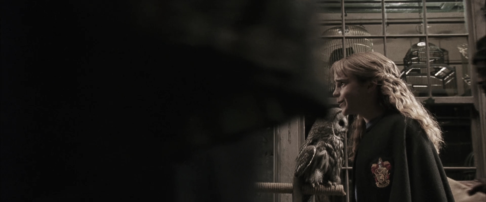 EmmaWatsonFan-dot-nl_HarryPotterandtheChamberOfSecrets0022.jpg