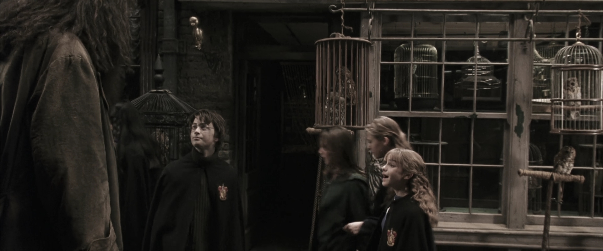 EmmaWatsonFan-dot-nl_HarryPotterandtheChamberOfSecrets0040.jpg