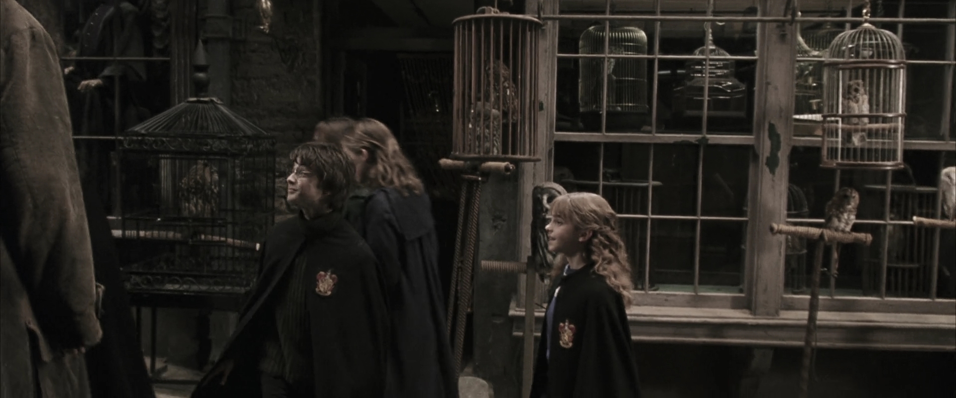EmmaWatsonFan-dot-nl_HarryPotterandtheChamberOfSecrets0041.jpg