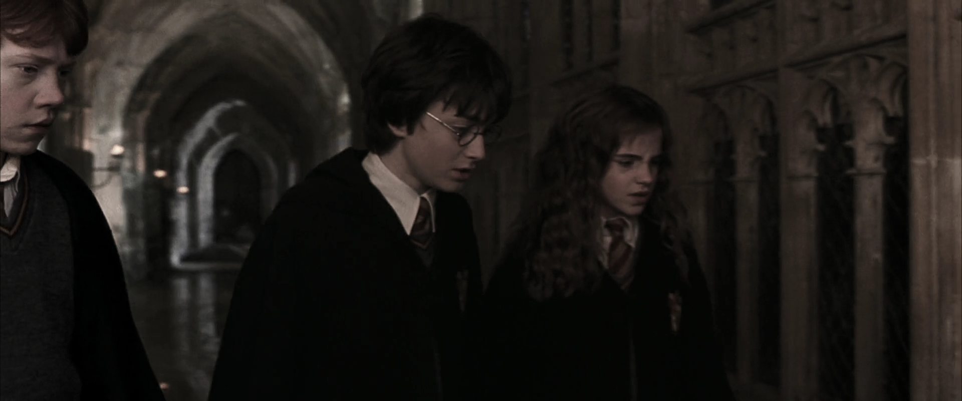 EmmaWatsonFan-dot-nl_HarryPotterandtheChamberOfSecrets1556.jpg EmmaWatsonFan-dot-nl_HarryPotterandtheChamberOfSecrets1556.jpg