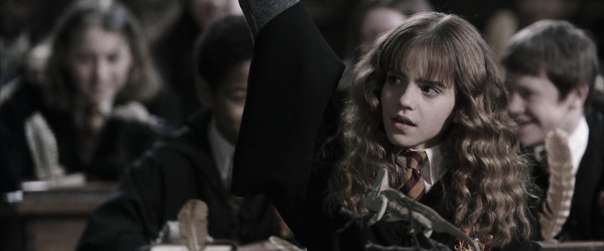 EmmaWatsonFan-dot-nl_HarryPotterandtheChamberOfSecrets1852.jpg
