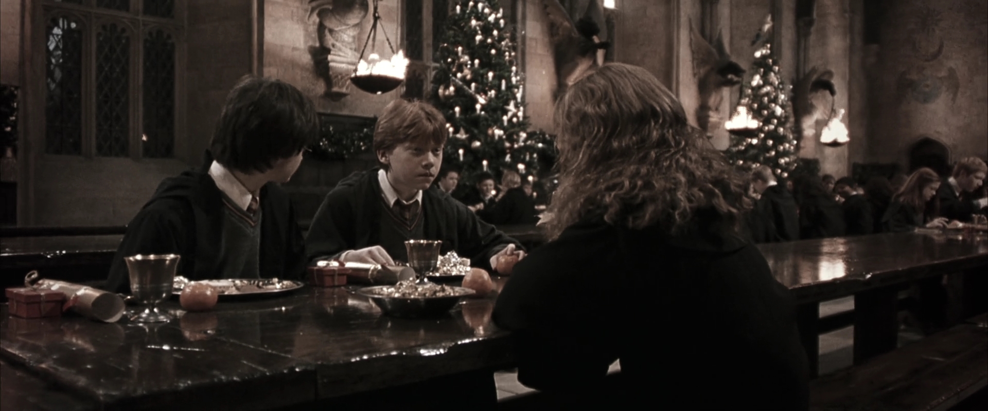 EmmaWatsonFan-dot-nl_HarryPotterandtheChamberOfSecrets3532.jpg
