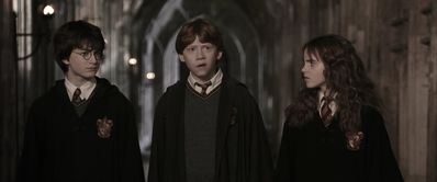 EmmaWatsonFan-dot-nl_HarryPotterandtheChamberOfSecrets1701.jpg