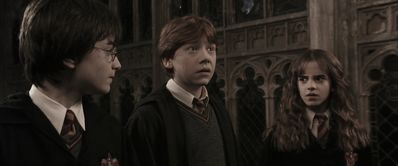 EmmaWatsonFan-dot-nl_HarryPotterandtheChamberOfSecrets1723.jpg