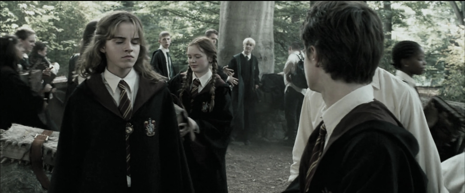 EmmaWatsonFan_dot_nl-HarryPotterAndThePrisonerOfAzkaban1006.jpg