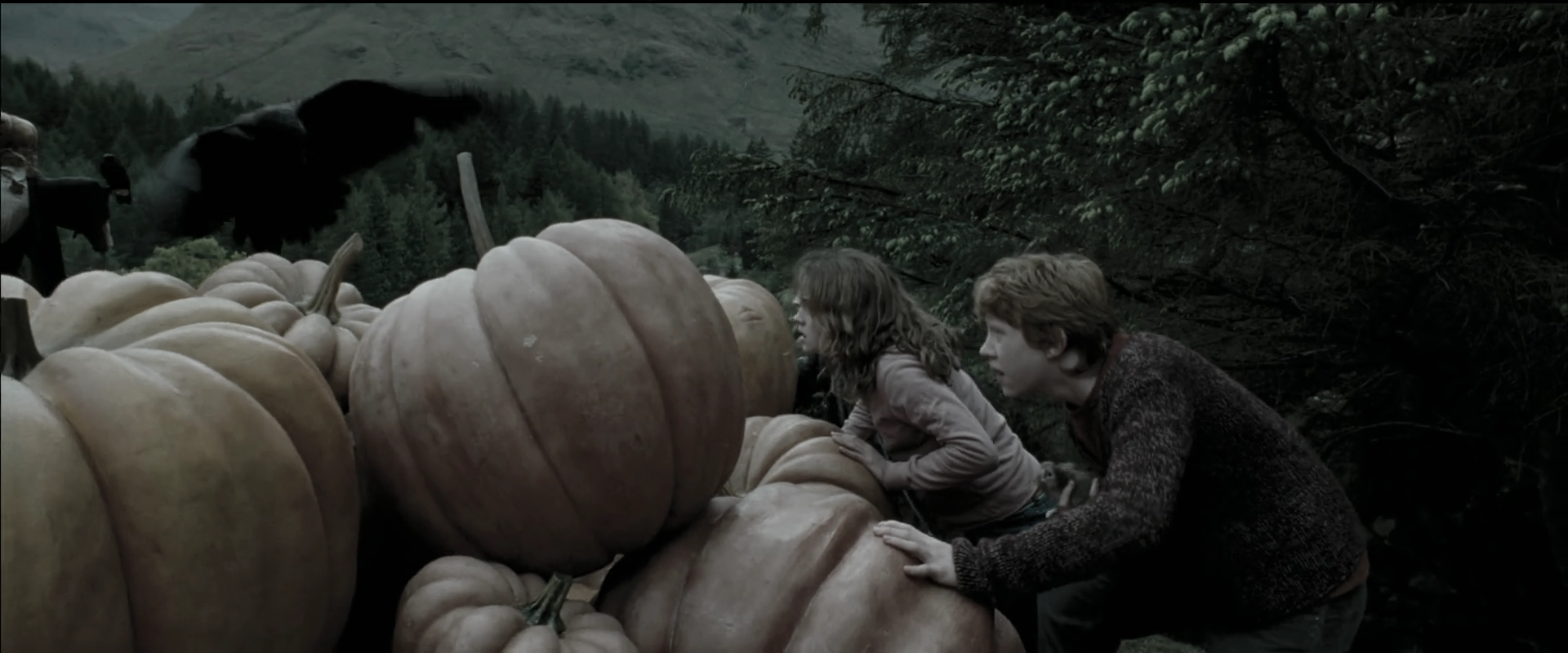 EmmaWatsonFan_dot_nl-HarryPotterAndThePrisonerOfAzkaban4113.jpg