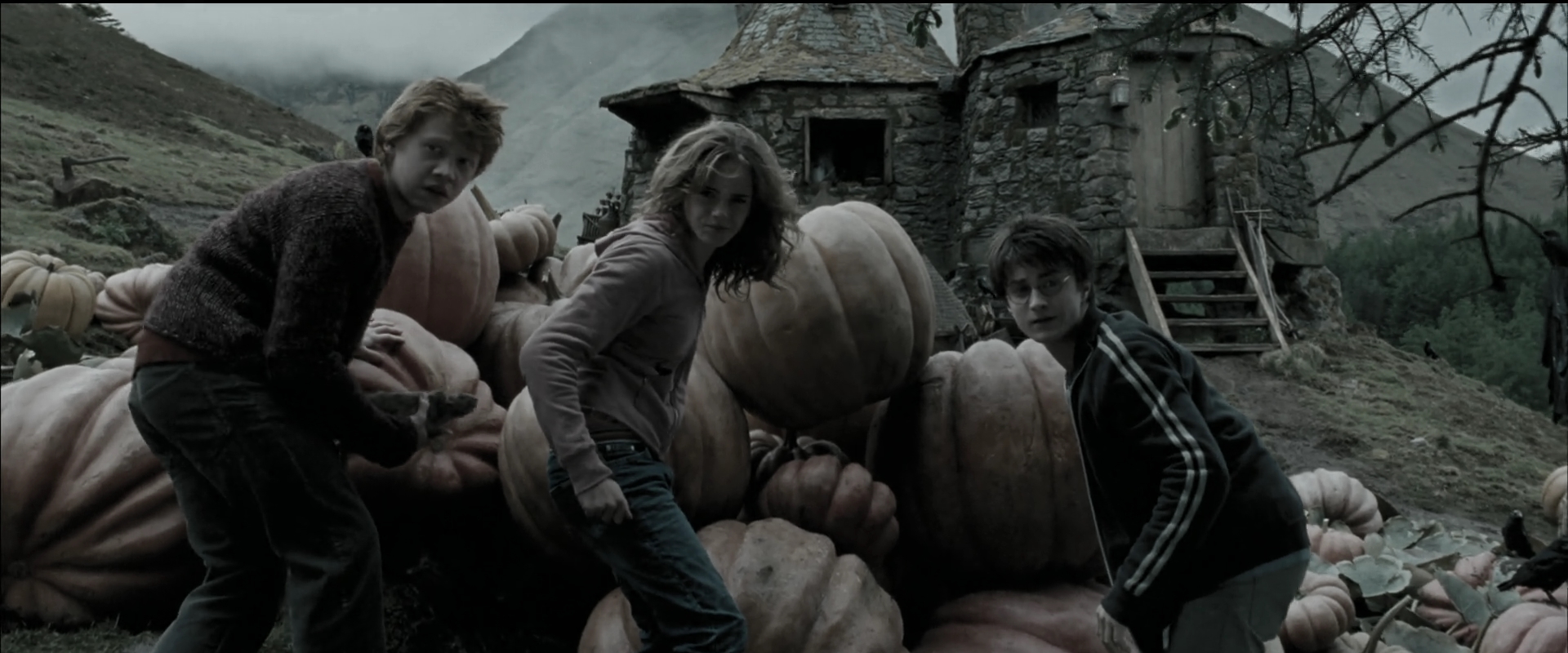EmmaWatsonFan_dot_nl-HarryPotterAndThePrisonerOfAzkaban4134.jpg
