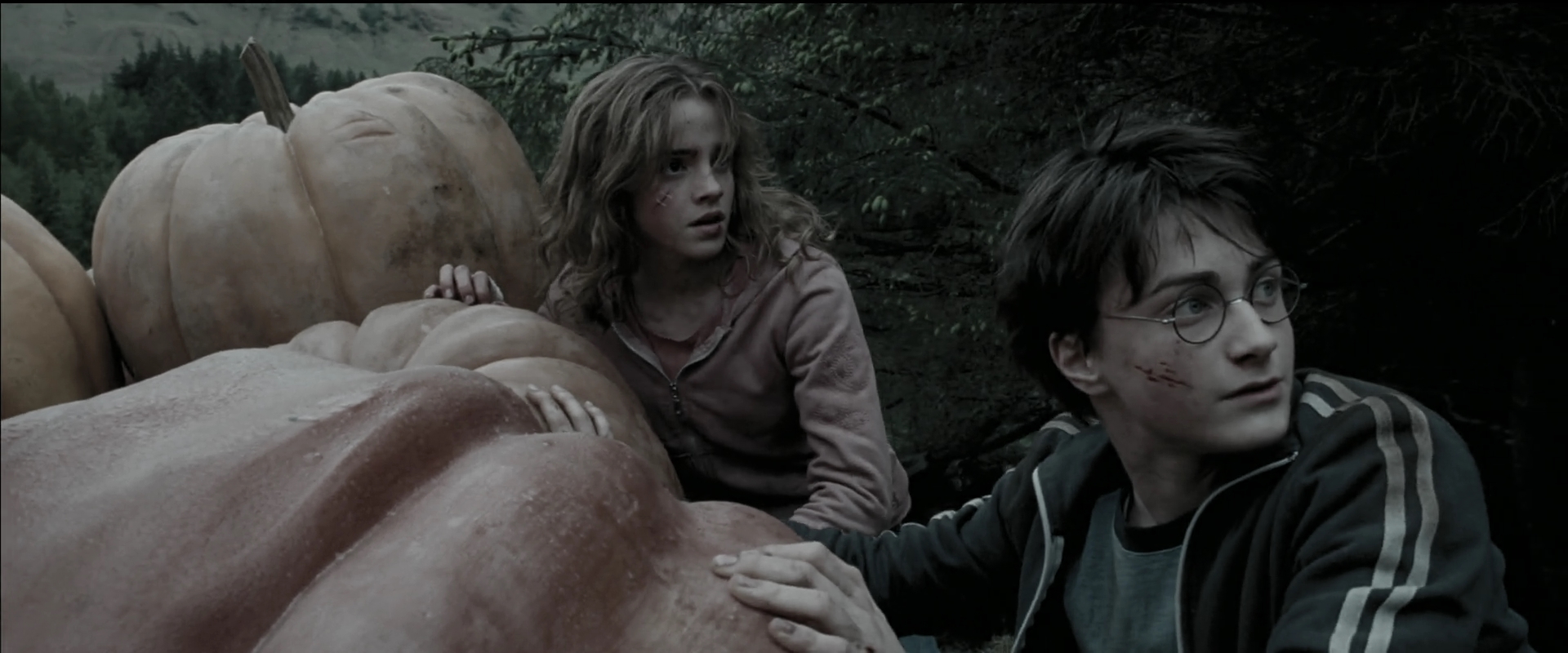 EmmaWatsonFan_dot_nl-HarryPotterAndThePrisonerOfAzkaban5533.jpg