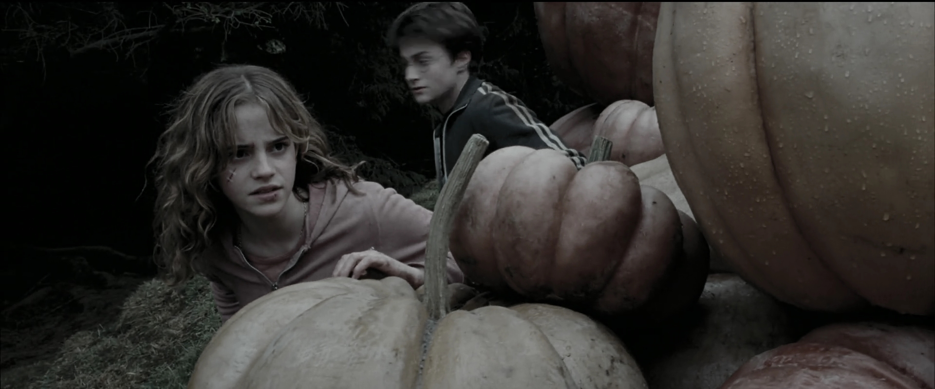 EmmaWatsonFan_dot_nl-HarryPotterAndThePrisonerOfAzkaban5576.jpg