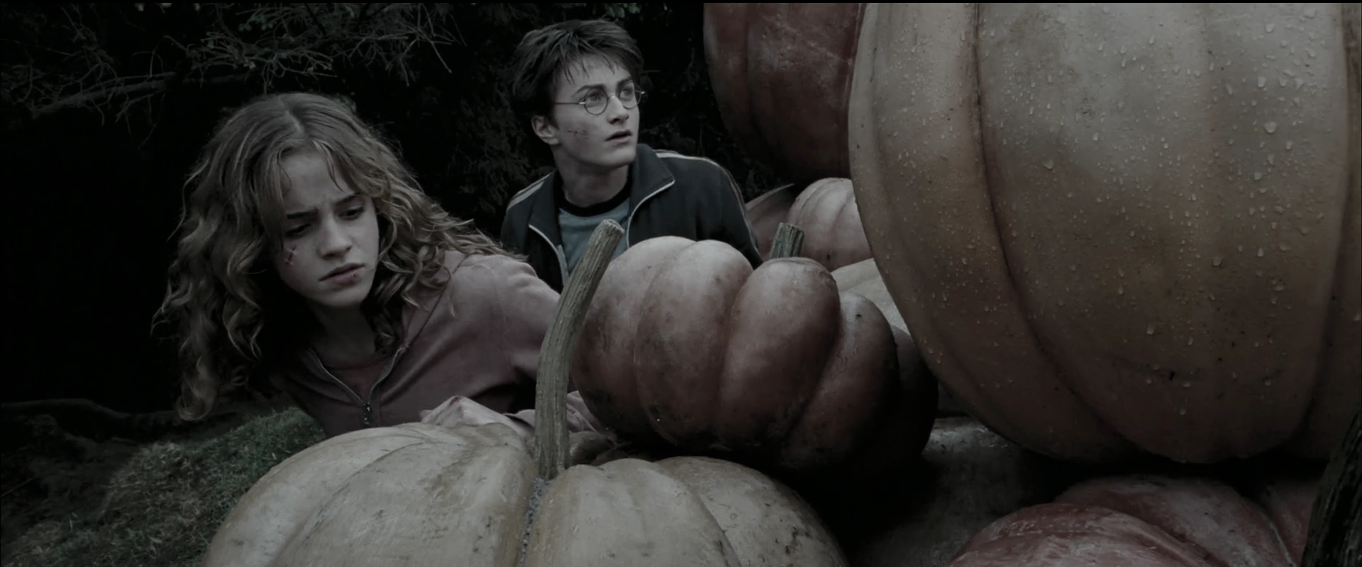 EmmaWatsonFan_dot_nl-HarryPotterAndThePrisonerOfAzkaban5581.jpg