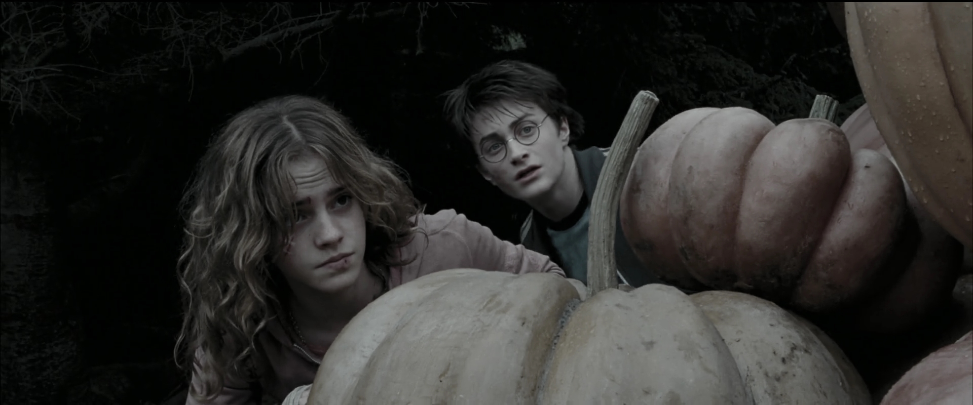 EmmaWatsonFan_dot_nl-HarryPotterAndThePrisonerOfAzkaban5611.jpg