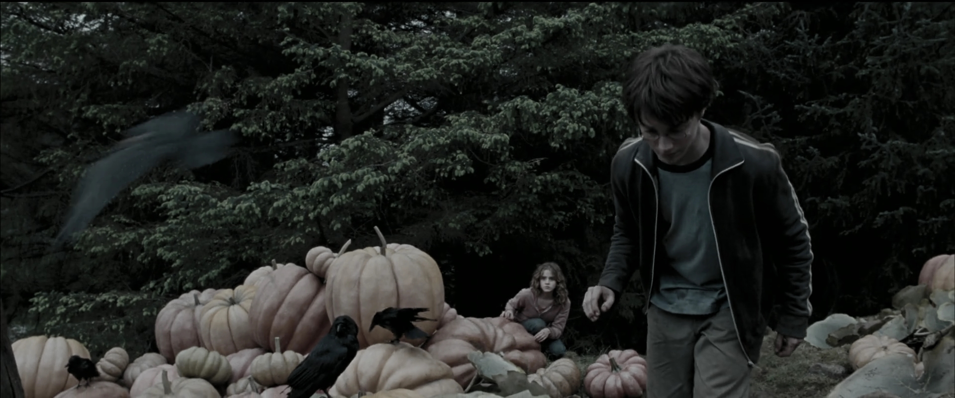 EmmaWatsonFan_dot_nl-HarryPotterAndThePrisonerOfAzkaban5682.jpg EmmaWatsonFan_dot_nl-HarryPotterAndThePrisonerOfAzkaban5682.jpg