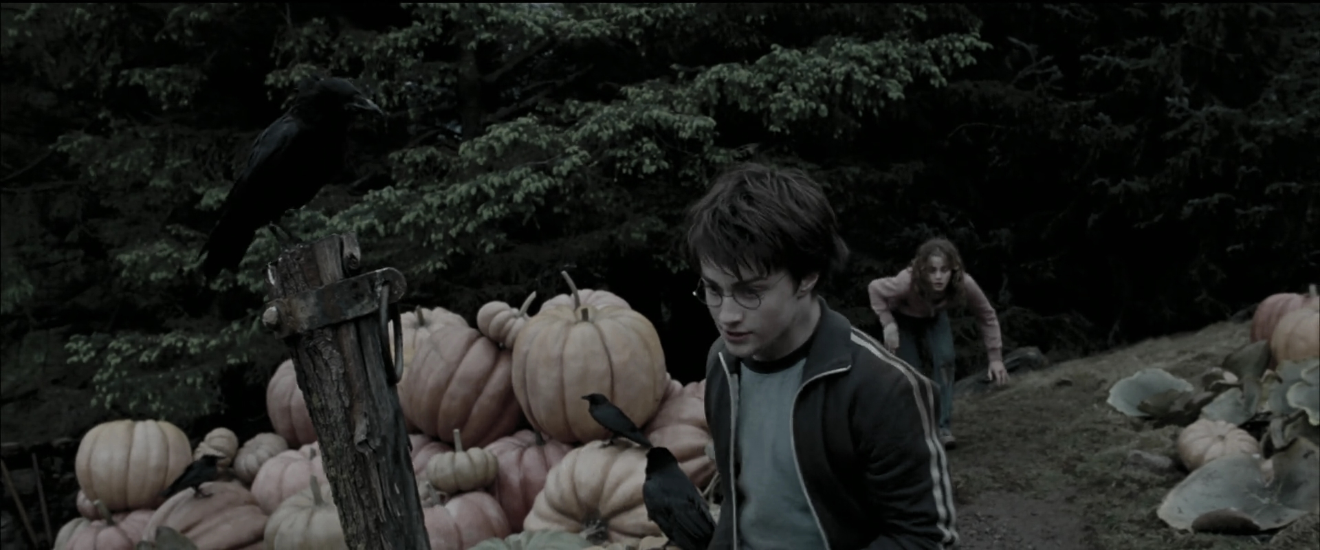 EmmaWatsonFan_dot_nl-HarryPotterAndThePrisonerOfAzkaban5695.jpg EmmaWatsonFan_dot_nl-HarryPotterAndThePrisonerOfAzkaban5695.jpg