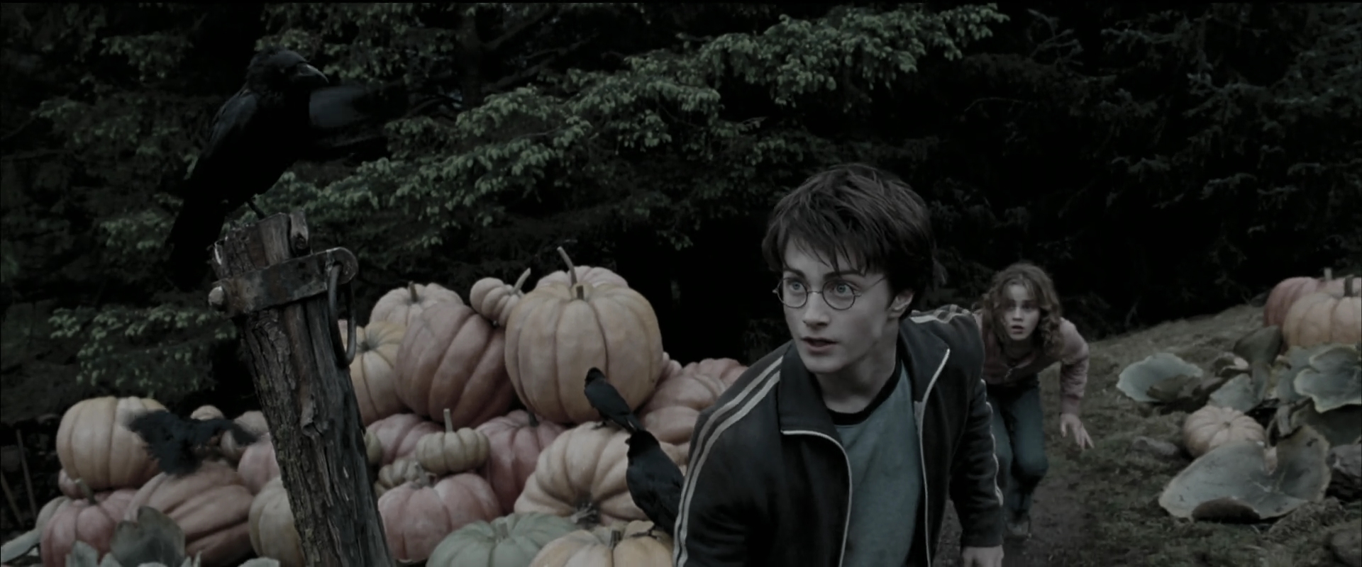 EmmaWatsonFan_dot_nl-HarryPotterAndThePrisonerOfAzkaban5697.jpg EmmaWatsonFan_dot_nl-HarryPotterAndThePrisonerOfAzkaban5697.jpg