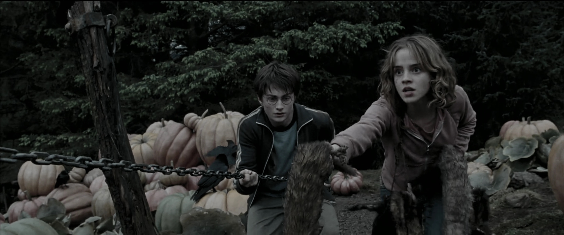 EmmaWatsonFan_dot_nl-HarryPotterAndThePrisonerOfAzkaban5731.jpg