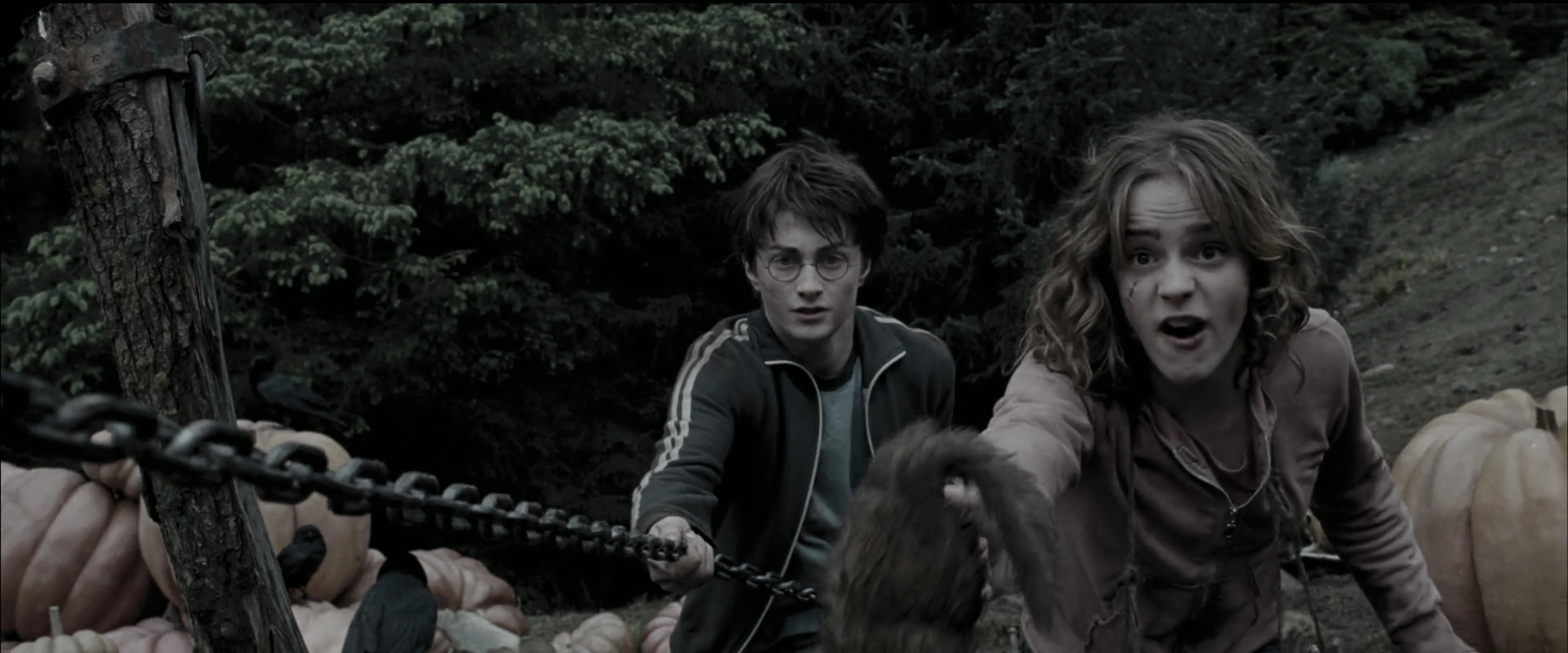 EmmaWatsonFan_dot_nl-HarryPotterAndThePrisonerOfAzkaban5734.jpg EmmaWatsonFan_dot_nl-HarryPotterAndThePrisonerOfAzkaban5734.jpg