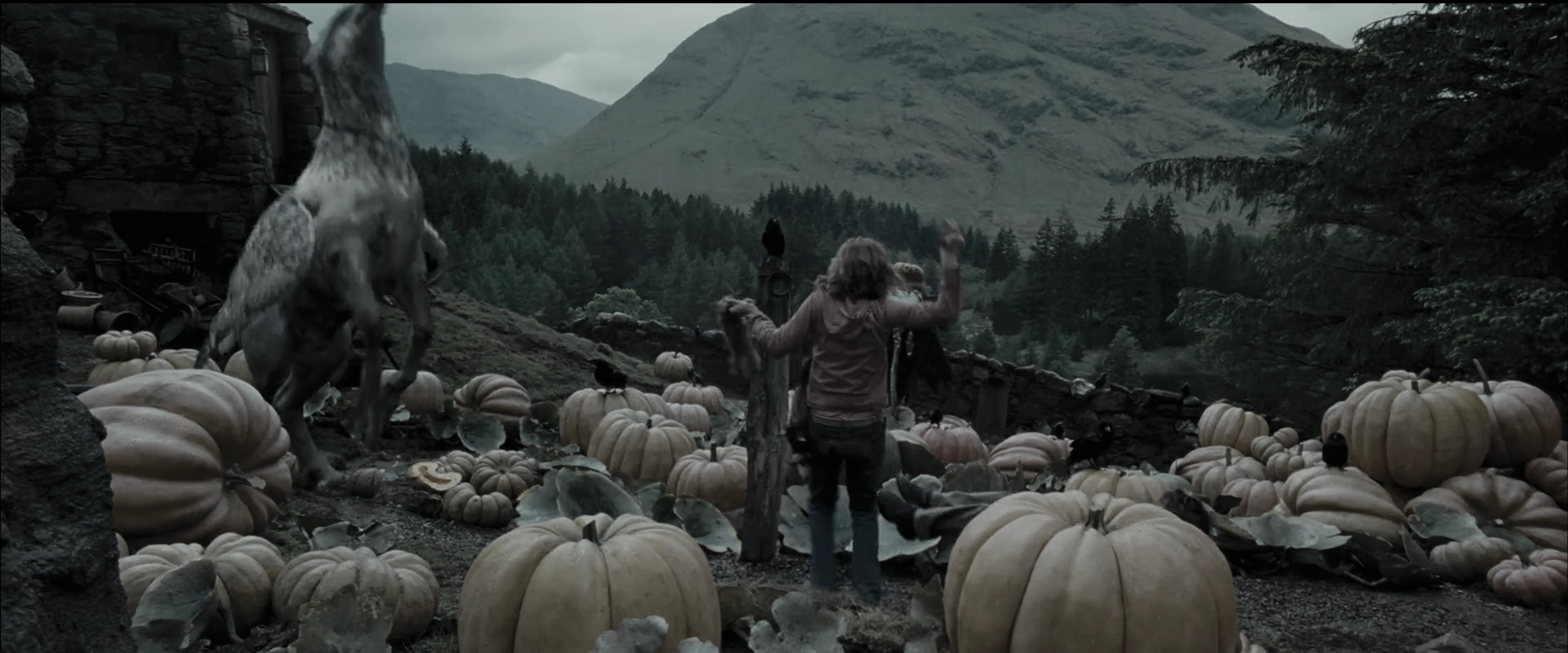 EmmaWatsonFan_dot_nl-HarryPotterAndThePrisonerOfAzkaban5737.jpg EmmaWatsonFan_dot_nl-HarryPotterAndThePrisonerOfAzkaban5737.jpg