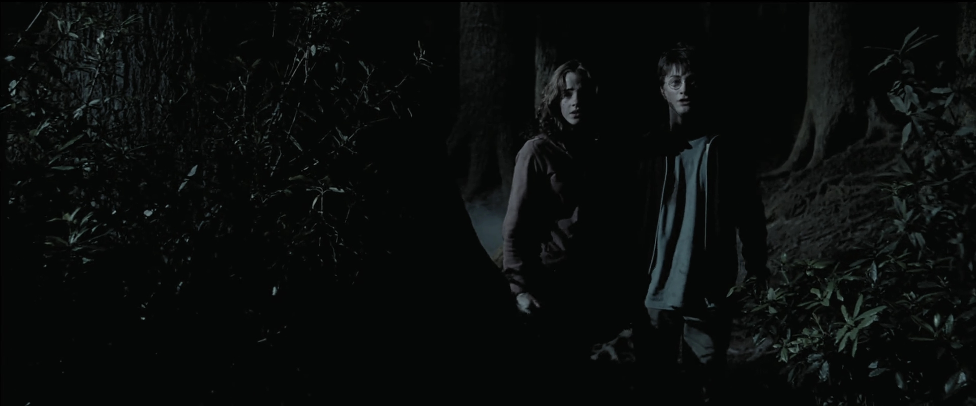 EmmaWatsonFan_dot_nl-HarryPotterAndThePrisonerOfAzkaban5971.jpg