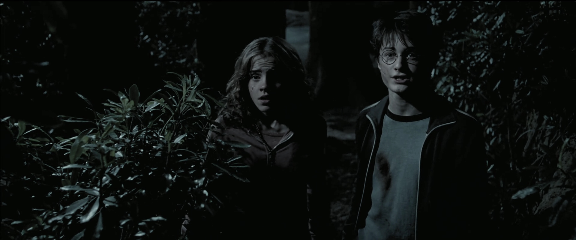 EmmaWatsonFan_dot_nl-HarryPotterAndThePrisonerOfAzkaban6002.jpg