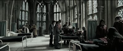 EmmaWatsonFan_dot_nl-HarryPotterAndThePrisonerOfAzkaban2407.jpg