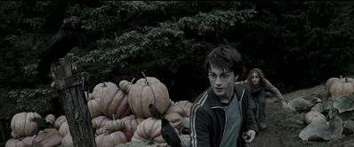 EmmaWatsonFan_dot_nl-HarryPotterAndThePrisonerOfAzkaban5696.jpg