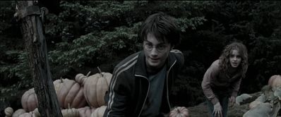 EmmaWatsonFan_dot_nl-HarryPotterAndThePrisonerOfAzkaban5708.jpg