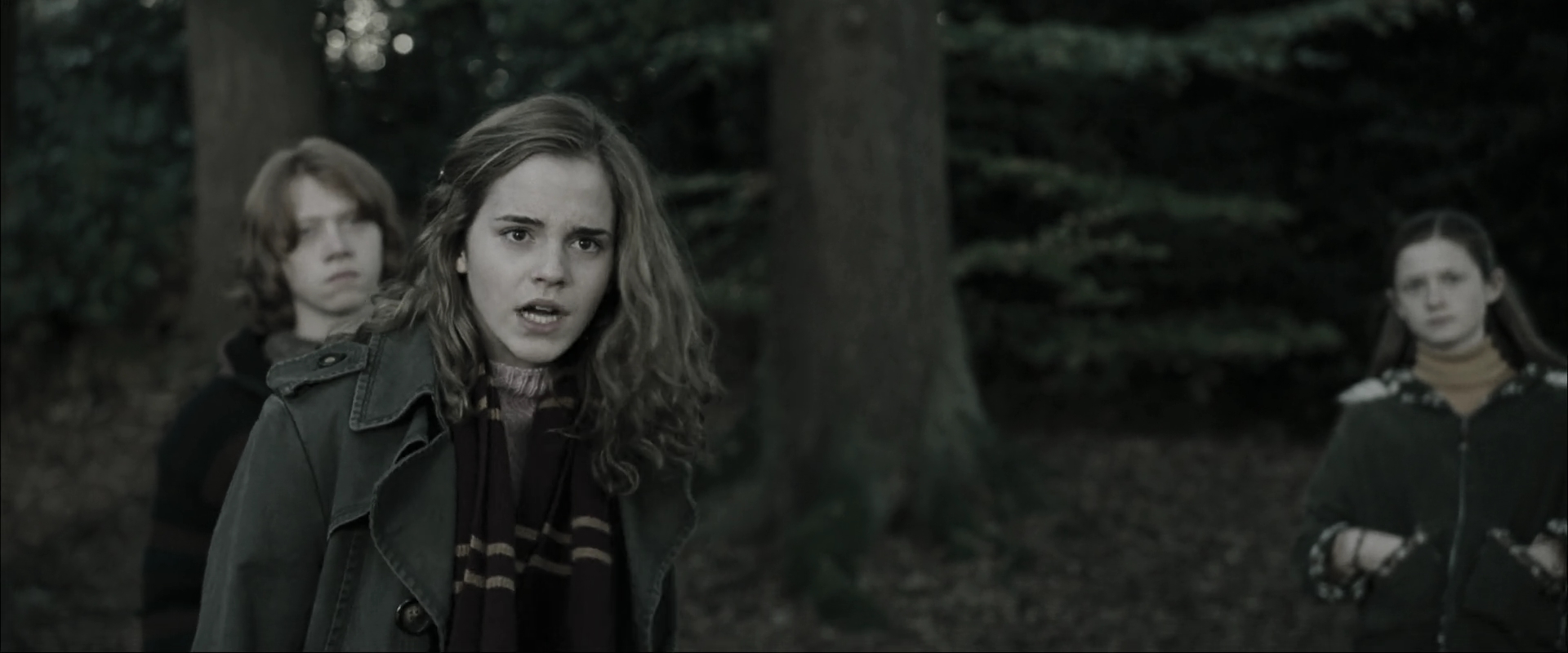 EmmaWatsonFan_dot_nl-HarryPotterAndTheGobletOfFire2702.jpg EmmaWatsonFan_dot_nl-HarryPotterAndTheGobletOfFire2702.jpg