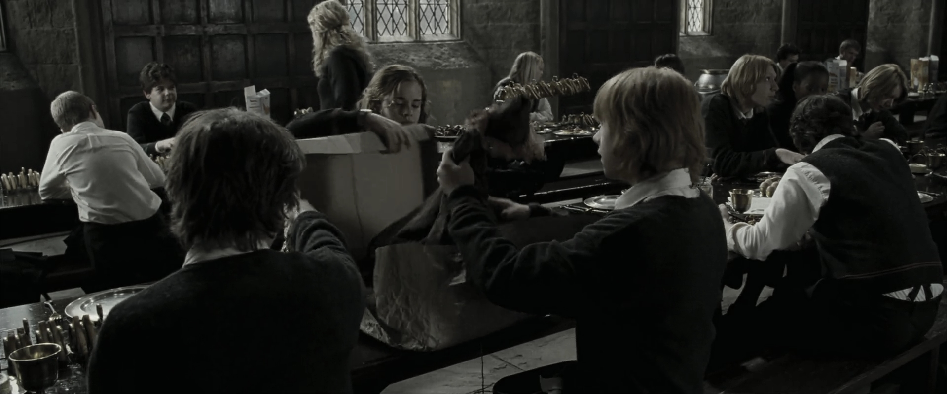 EmmaWatsonFan_dot_nl-HarryPotterAndTheGobletOfFire3835.jpg