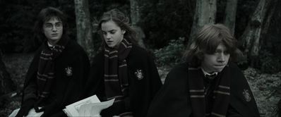 EmmaWatsonFan_dot_nl-HarryPotterAndTheGobletOfFire4079.jpg