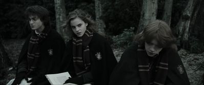 EmmaWatsonFan_dot_nl-HarryPotterAndTheGobletOfFire4081.jpg