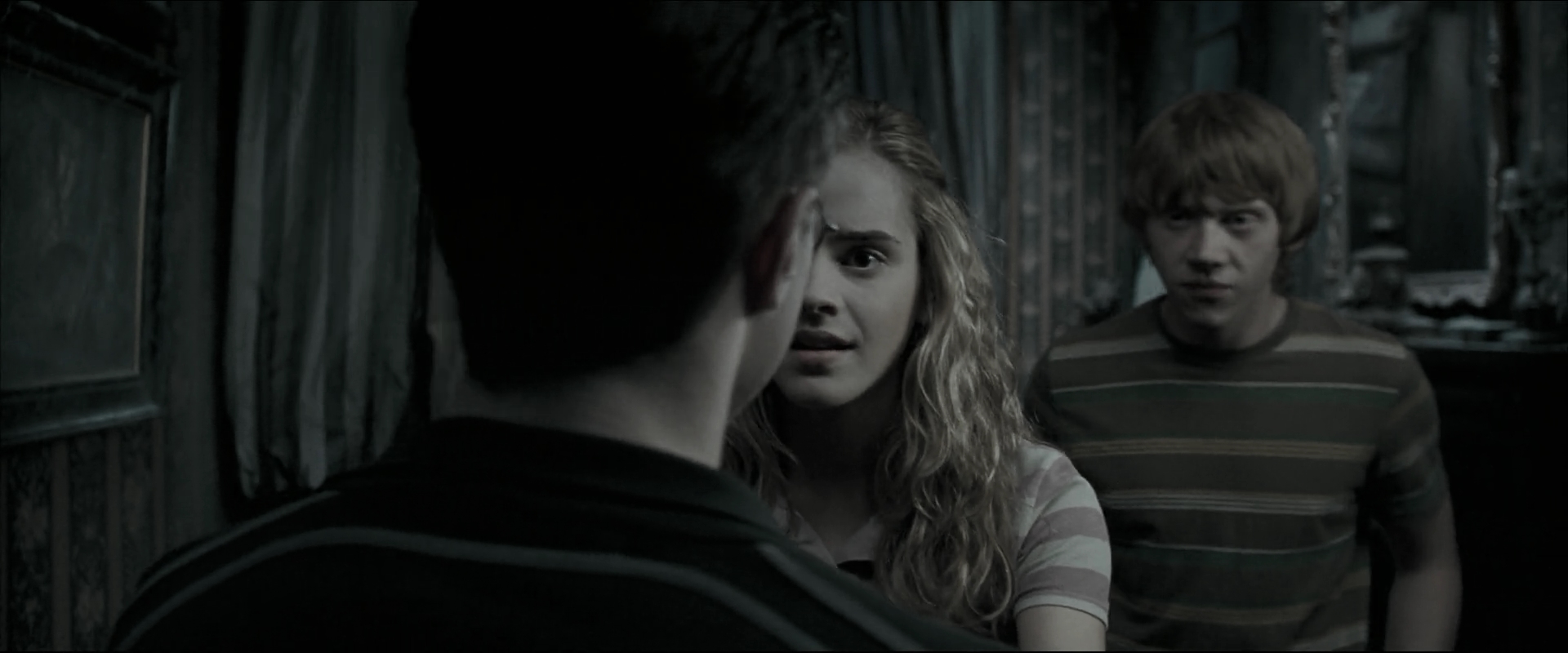 EmmaWatsonFan_dot_nl-HarryPotterAndTheOrderOfThePhoenix0753.jpg