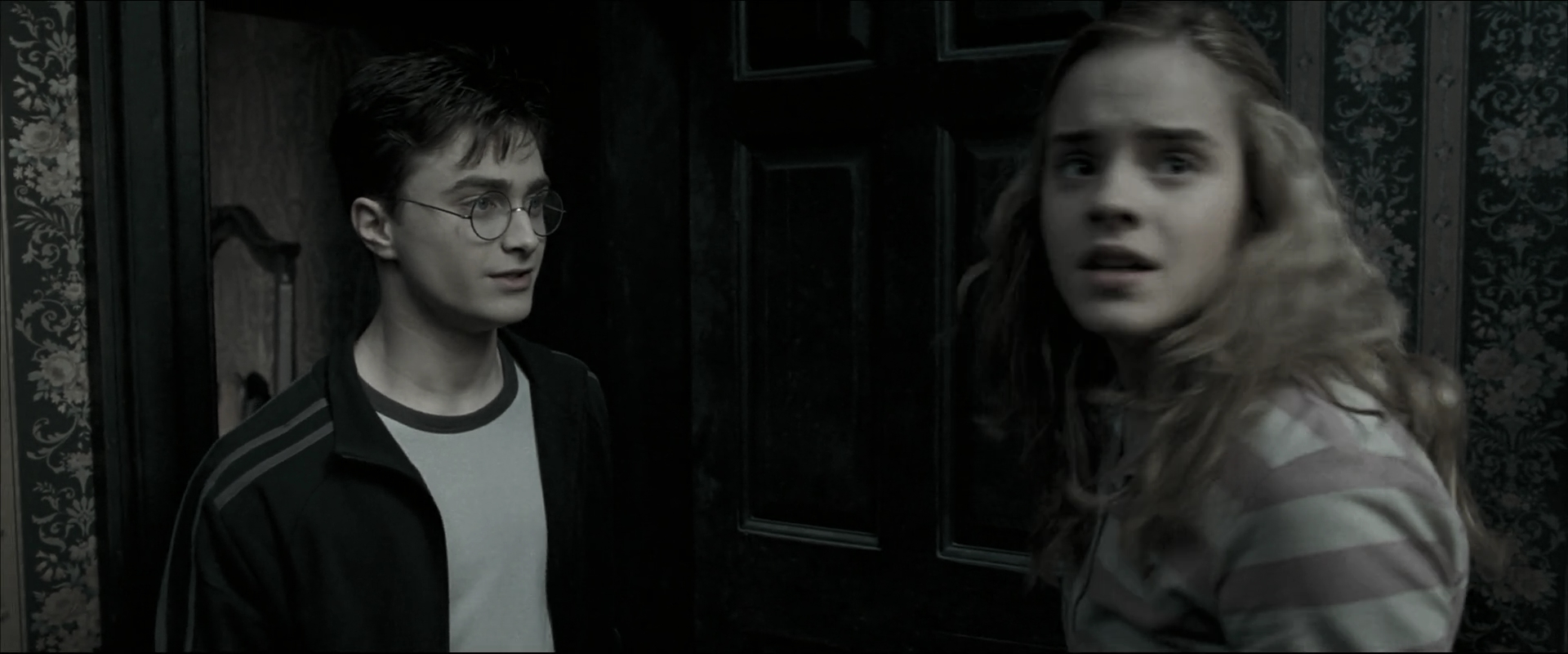 EmmaWatsonFan_dot_nl-HarryPotterAndTheOrderOfThePhoenix0756.jpg