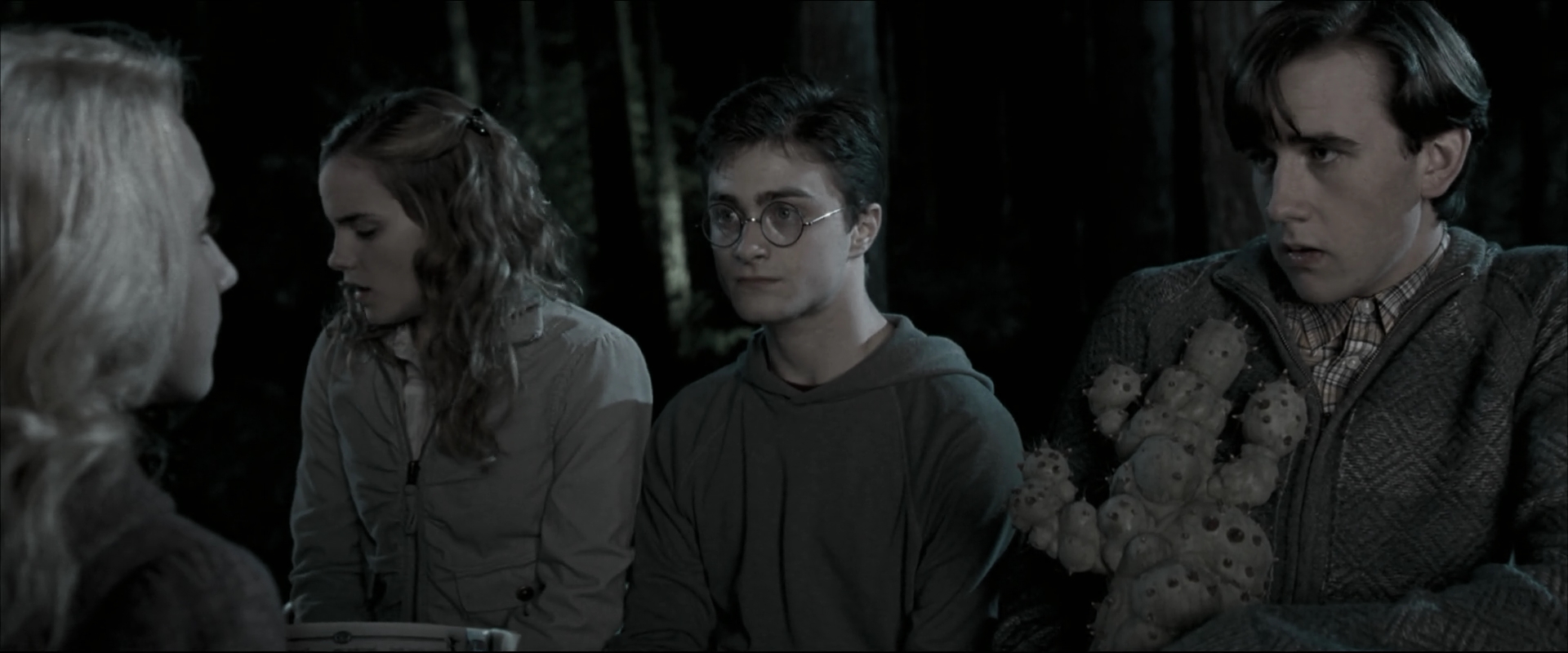EmmaWatsonFan_dot_nl-HarryPotterAndTheOrderOfThePhoenix1743.jpg