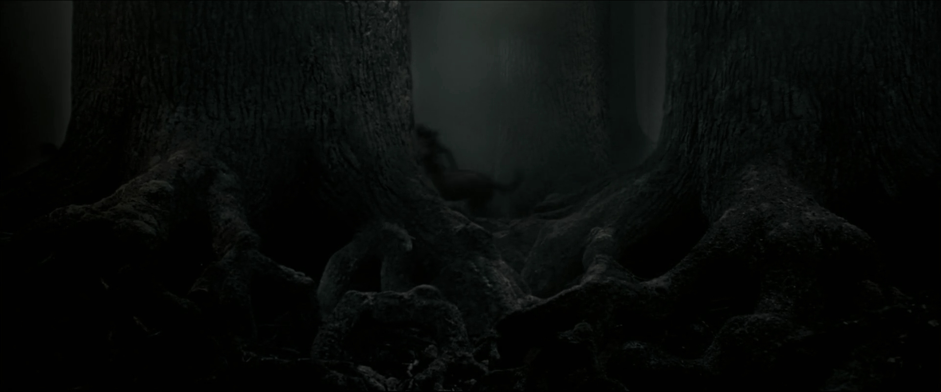 EmmaWatsonFan_dot_nl-HarryPotterAndTheOrderOfThePhoenix5154.jpg