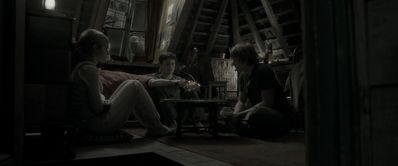 EmmaWatsonFan_dot_nl-HarryPotterAndTheHalfBloodPrince0818.jpg