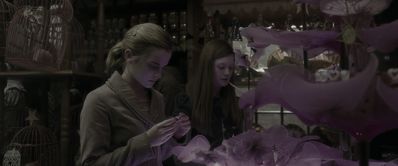 EmmaWatsonFan_dot_nl-HarryPotterAndTheHalfBloodPrince1115.jpg